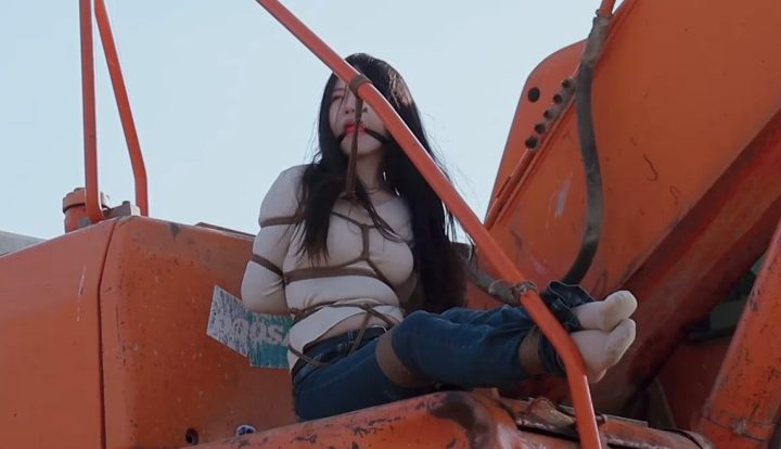 编号901 半岛束艺台_海语不负挖掘机大省称号 1V 1P_LSP爱看_PikPak云盘_资源合集_免费下载