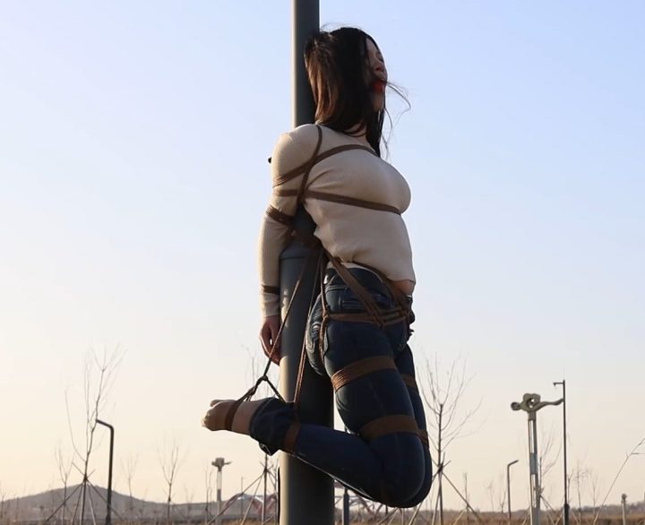 编号916 半岛束艺台_海语无源相控阵人工智能可视一体化监控杆 1V 1P_LSP爱看_PikPak云盘_资源合集_免费下载