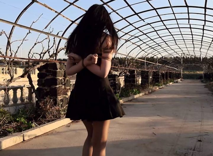 编号947 半岛束艺台_矢崎古堡丽影 1V 1P_LSP爱看_PikPak云盘_资源合集_免费下载