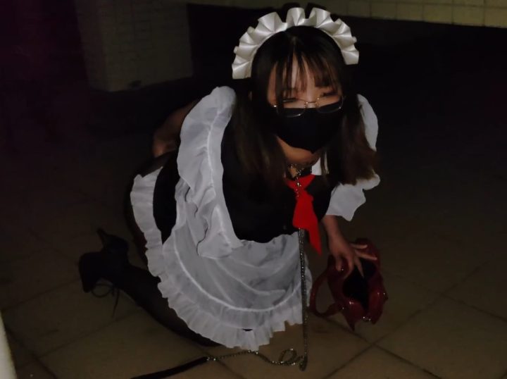 编号737 【海砂原创】捆绑真空开档黑丝丰腴女仆，牵引至露出现场前后塞满玩具跪爬叫主人 1V 1P_LSP爱看_PikPak云盘_资源合集_免费下载