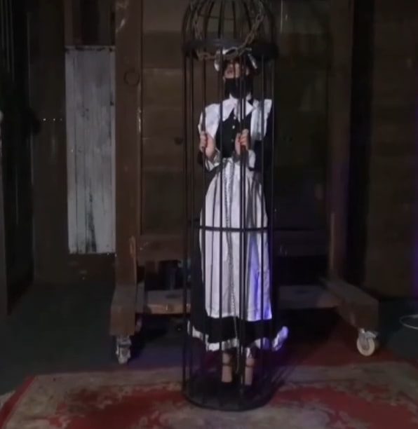 编号766 禅狱工作室 托奴所365天纪实-7 1V 1P_LSP爱看_PikPak云盘_资源合集_免费下载