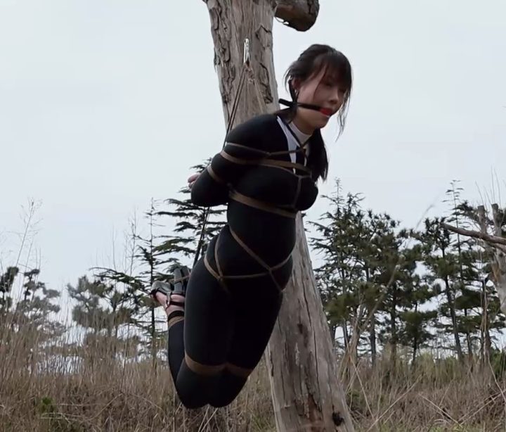 编号882 半岛束艺台_波雅枯藤老树波鸦 1V 1P_LSP爱看_PikPak云盘_资源合集_免费下载