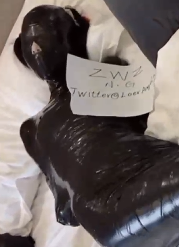 编号2559 窒物者_经典高强度玩具-调教-拘束-捆绑 31_1V 1P_LSP爱看_PikPak云盘_资源合集_免费下载