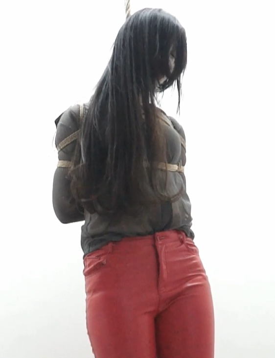 编号2324 逍遥工作室_捆绑束缚调教 27_1V 1P_LSP爱看_PikPak云盘_资源合集_免费下载