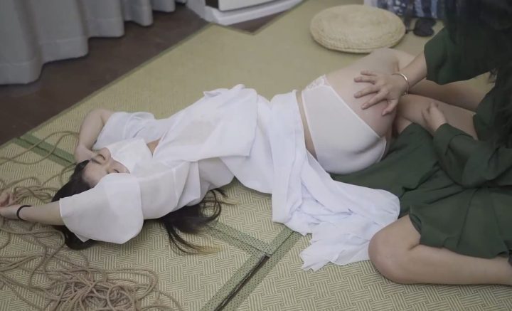 编号3030 象人原创 工作室_狐狸&花花-白蛇（下） 很多人想看的磨豆腐下部来了！ 1V 1P_LSP爱看_PikPak云盘_资源合集_免费下载