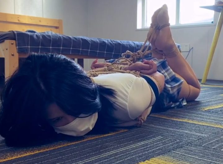 编号1586 绳精病_失败者的复仇 1V 1P_LSP爱看_PikPak云盘_资源合集_免费下载