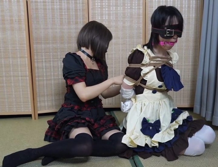 编号2741 象人定拍 工作室_嗷嗷&小0-女调女，女王与女仆反制剧情！（一小时长篇！） 1V 1P_LSP爱看_PikPak云盘_资源合集_免费下载