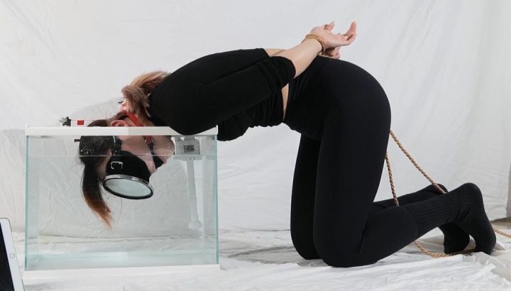 编号2157 小萌同学_闷绝昏迷上锁无孔乳胶头套定拍，K9爬行以及水下憋气！绝望无助挣扎重度警告 1V 1P_LSP爱看_PikPak云盘_资源合集_免费下载