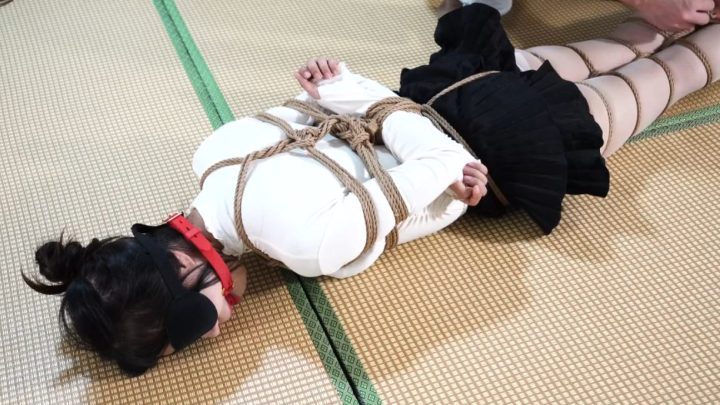 编号1748 小鹿工作室_调教纪实 3_1V 1P_LSP爱看_PikPak云盘_资源合集_免费下载