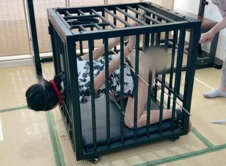 编号1828 小鹿工作室_笼中女M禁锢TJ（新玩具点潮笔+使用体验采访） 1V 1P_LSP爱看_PikPak云盘_资源合集_免费下载