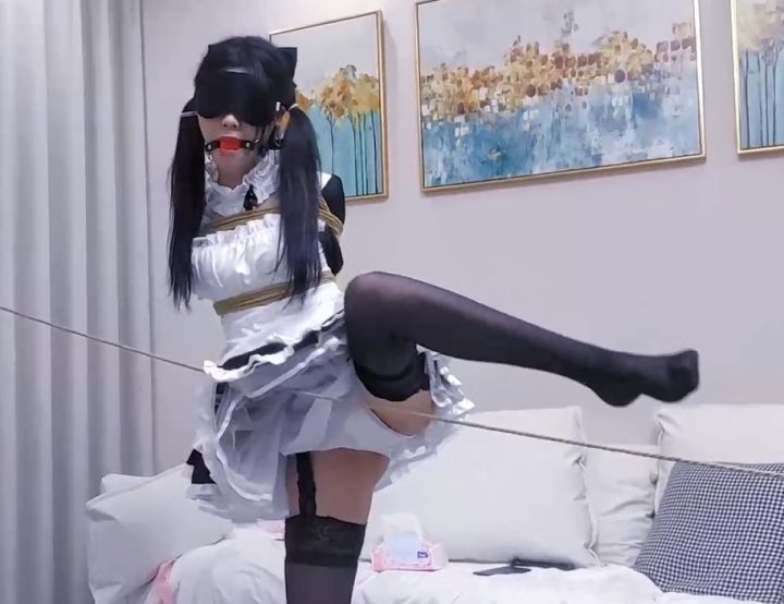 编号2673 嗷大喵_女仆，煎熬 1V 1P_LSP爱看_PikPak云盘_资源合集_免费下载