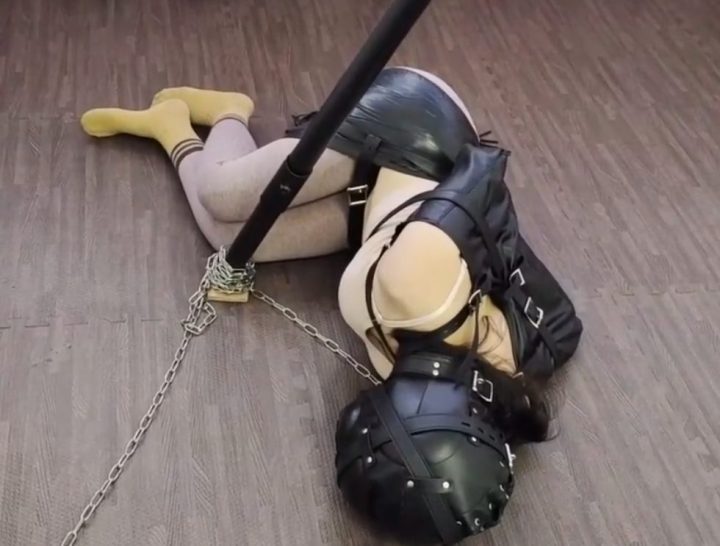 编号1812 小鹿工作室_捆绑束缚调教 12_1V 1P_LSP爱看_PikPak云盘_资源合集_免费下载